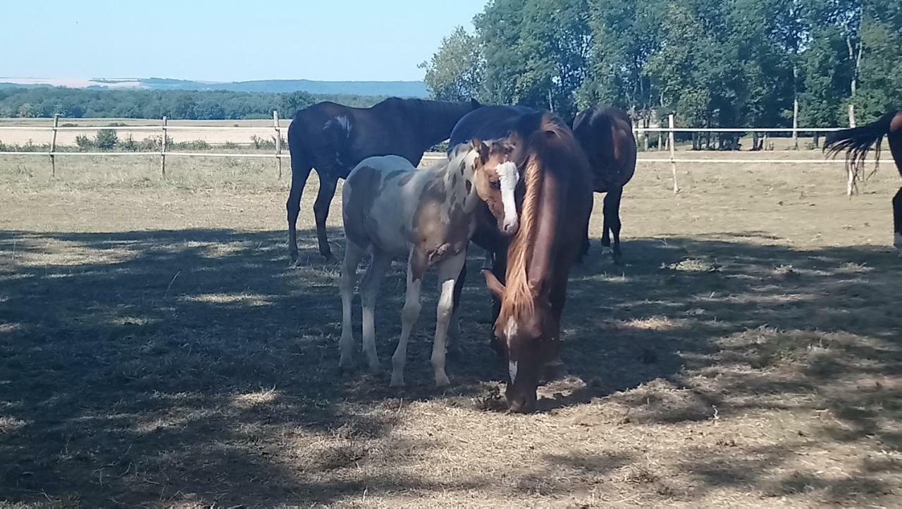 Hotel Jad Ranch Raucourt-et-Flaba Exterior foto